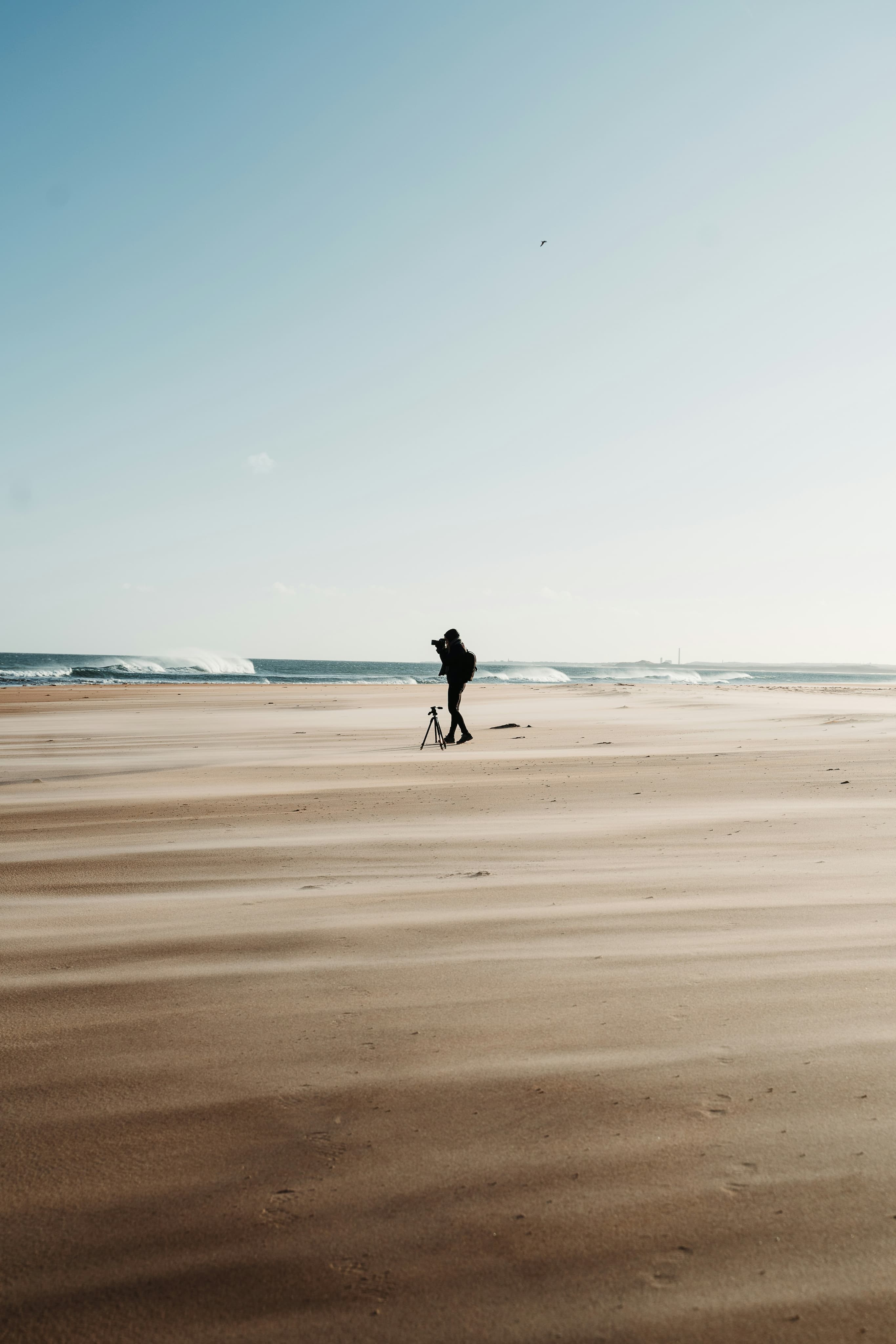 Surfer and AI