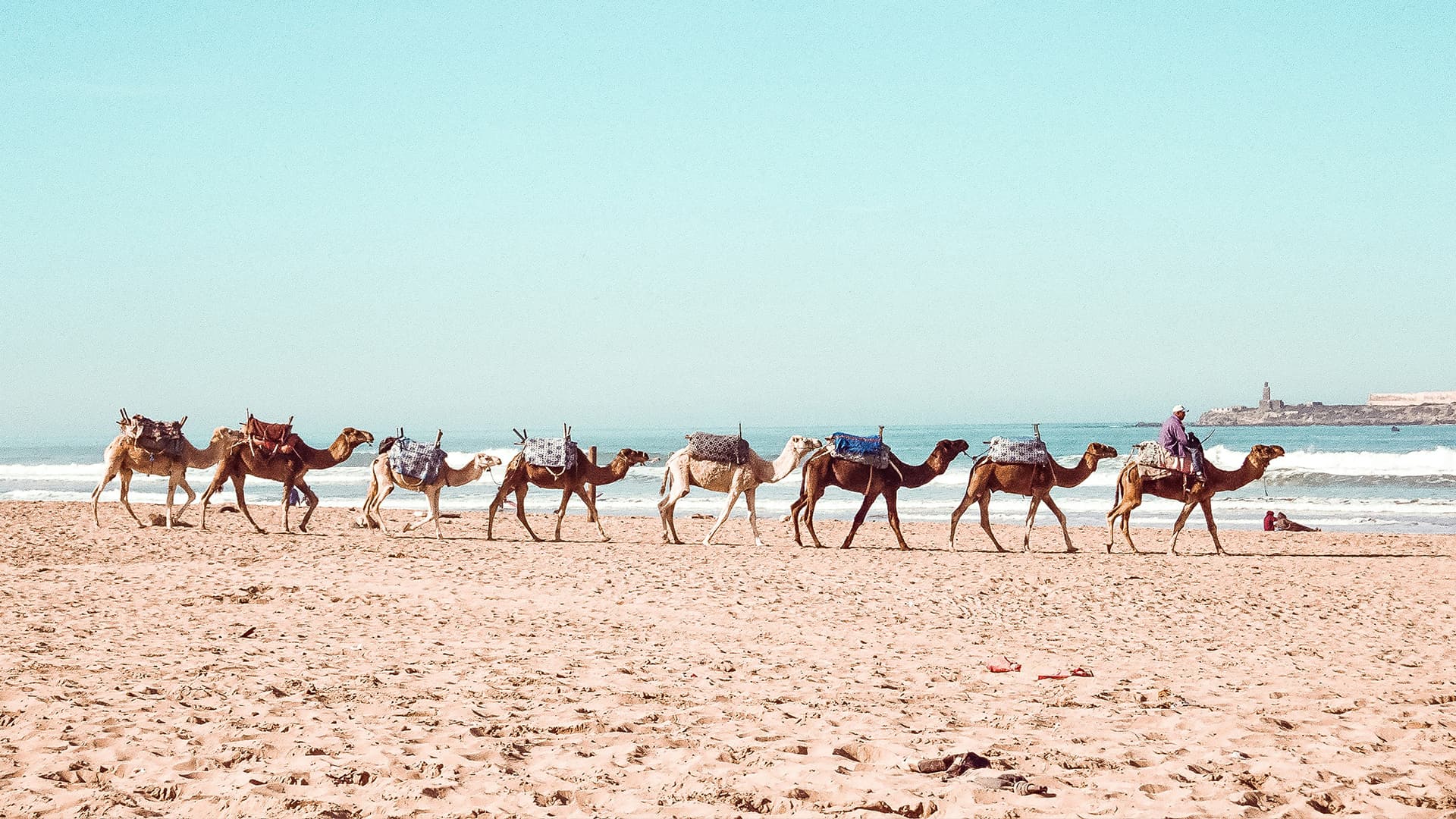 Essaouira surf photo - session on the beach